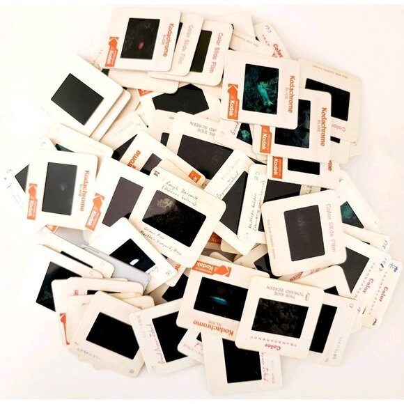 1980s 35mm Slide Film Frames Nautical Lot Of 100 Sea Life Fish Coral Vtg E50B - Picture 2 of 7